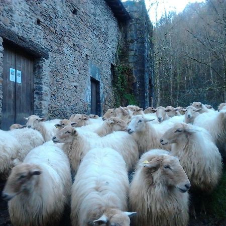 Casa Rural Orortegi Aia Exteriér fotografie