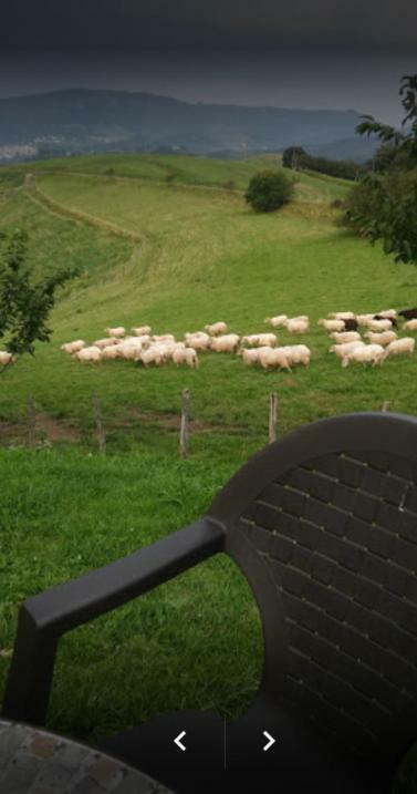 Casa Rural Orortegi Aia Exteriér fotografie