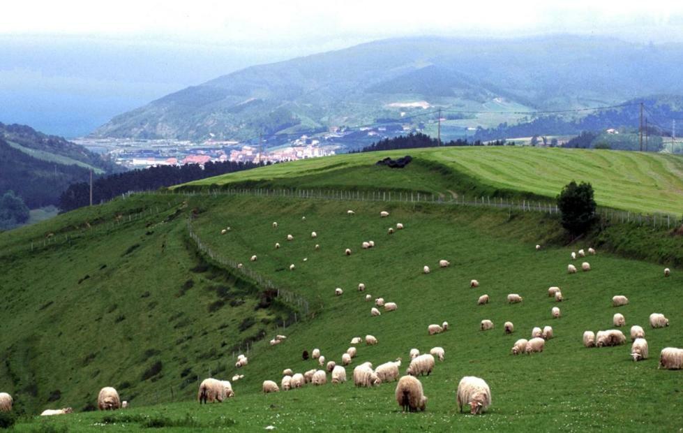 Casa Rural Orortegi Aia Exteriér fotografie